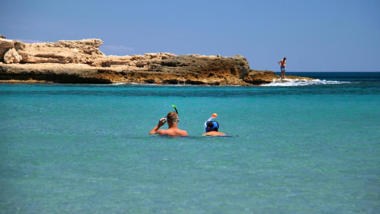 شقة Loft Alguer En Ametlla De Mar لاميتّيا ذي مار المظهر الخارجي الصورة